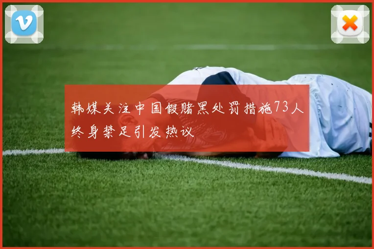韩媒关注中国假赌黑处罚措施73人终身禁足引发热议