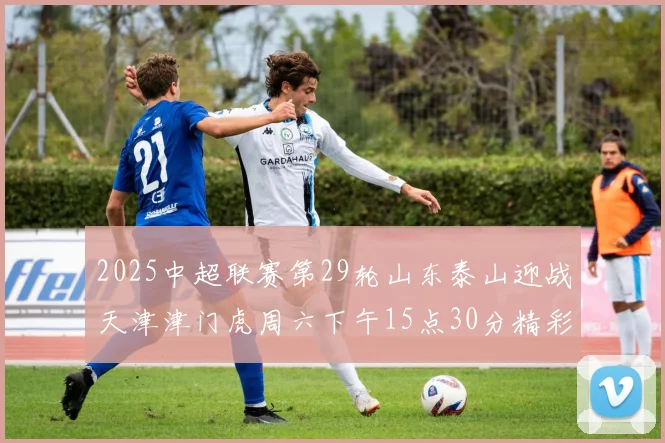 2025中超联赛第29轮山东泰山迎战天津津门虎周六下午15点30分精彩开战